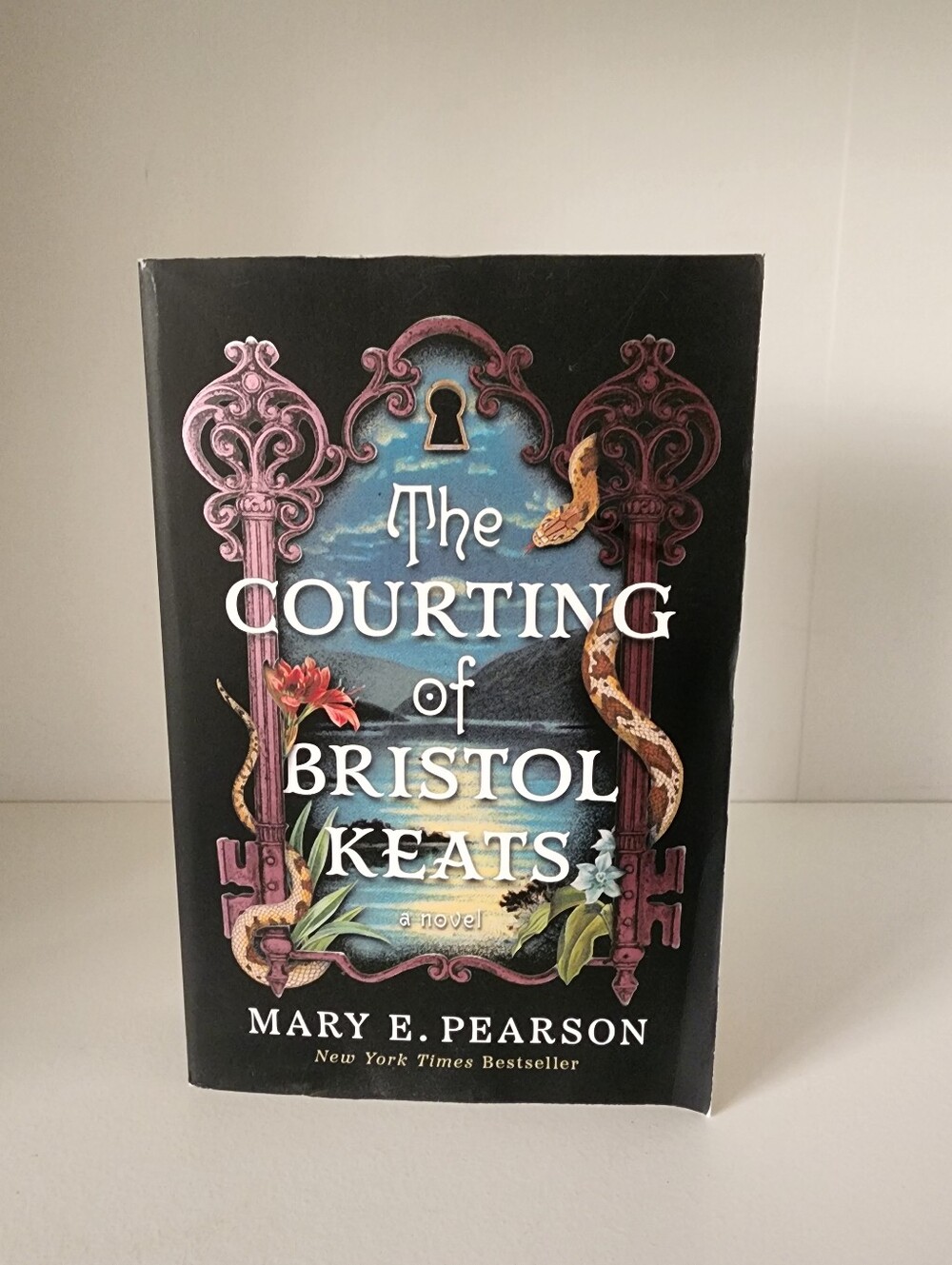 🖤3/$20The Courting of Bristol Keats by Mary E. Pearson Paperback Romantasy Book